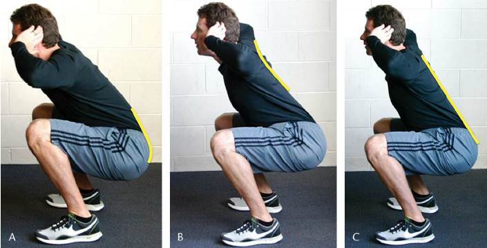 thoracic vertebrae squat에 대한 이미지 검색결과
